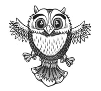 Image 5 of Cute Little Owl T-shirt  (A1)**FREE SHIPPING**