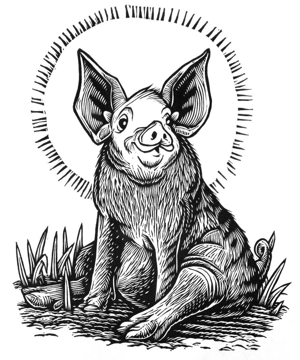 Pig in the Mud T-shirt (B3)**FREE SHIPPING**