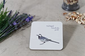 Image of Set of Four Dickie Bird Melamine Coasters