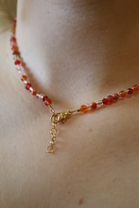 Image 2 of Pinkalicious