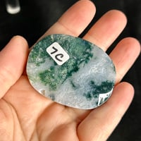 Image 8 of Moss Agate Palm Stones
