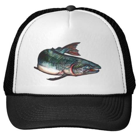 Image of Salmon Trucker Hat