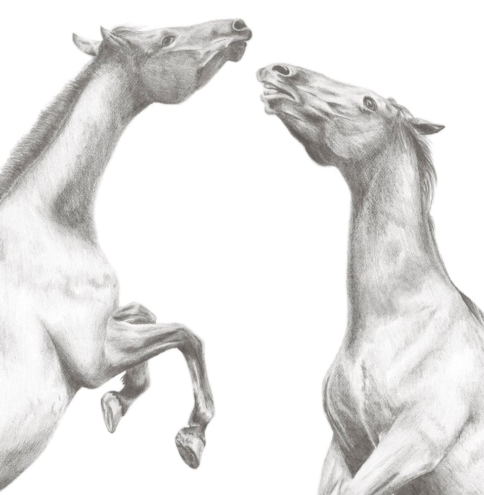 Image of "Squaring Up"