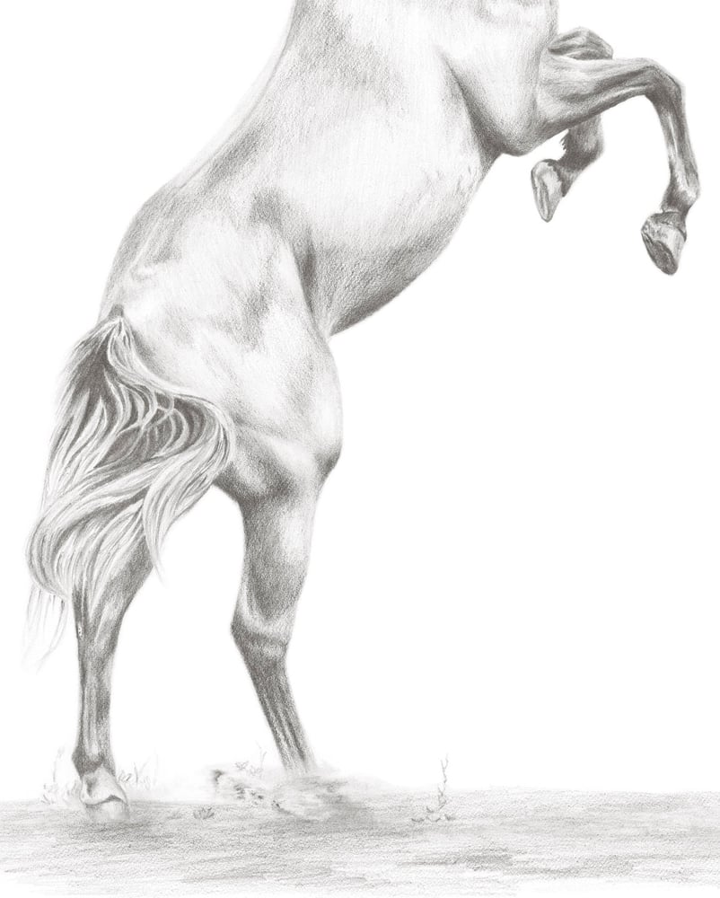 Image of "Squaring Up"