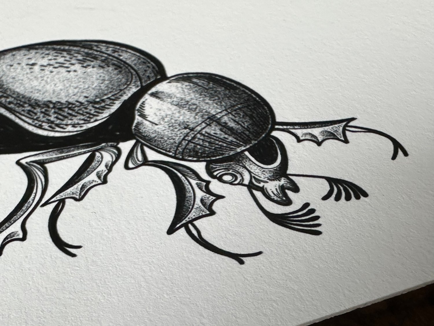 Image of Dung Beetle Print A5