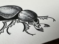 Image 2 of Dung Beetle Print A5