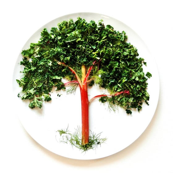 Image of Kale Tree