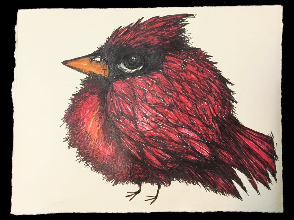 Image of Cardinal Drawing