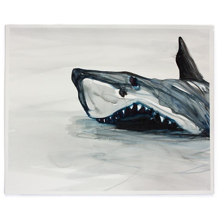 Image of SIMON SCHRIKKER Great White #1