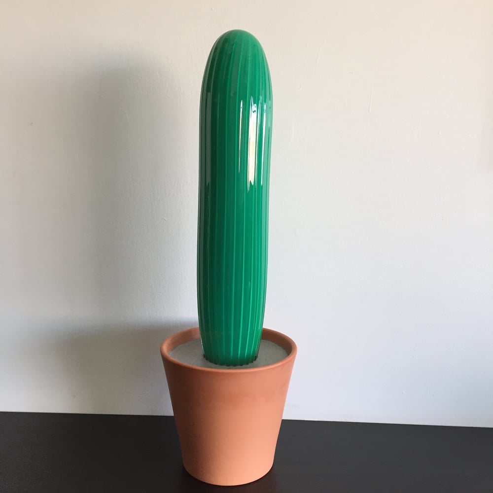 Image of Cactus (Curt)