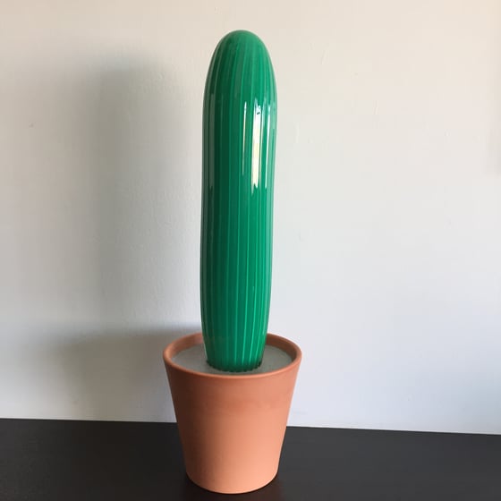 Image of Cactus (Curt)
