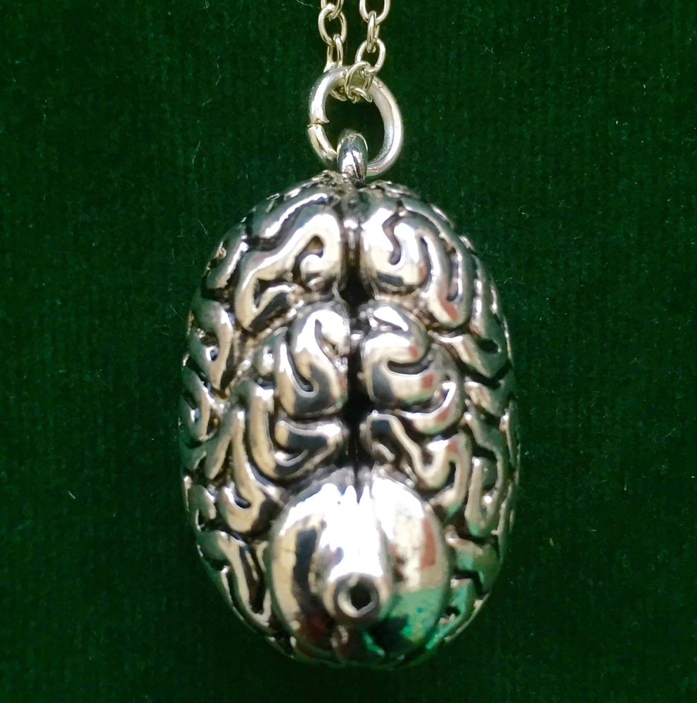 Image of BRAIN-ON-A-CHAIN