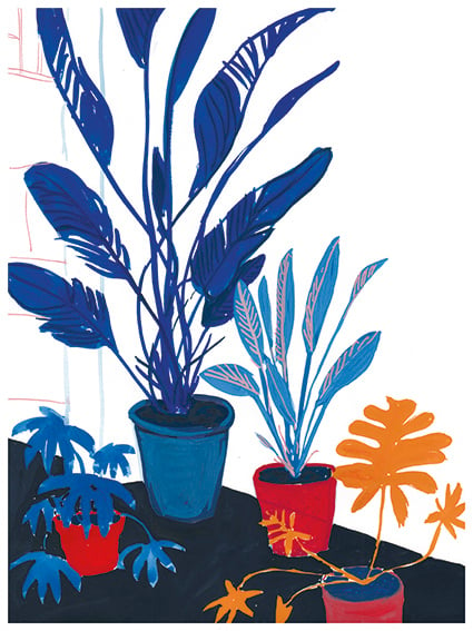 Image of Blue plants red pots