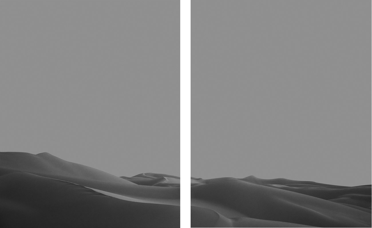 Image of Imperial Dunes III Diptych