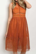 Image of Nita Mesh Dress