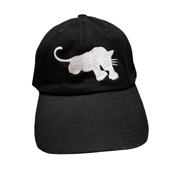 Image of Black Panther Dad Hat