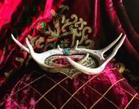 Image 1 of Antler Crown