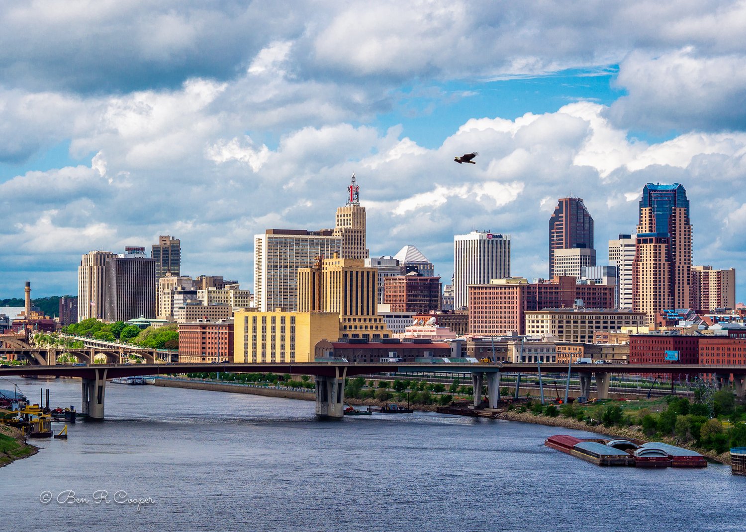 Bald Eagle over Saint Paul