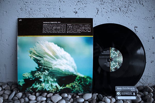 Image of Limited Edition 12" Vinyl (180g)