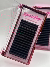 Image 2 of Cashmere Collection Mixed Trays 0.03 D