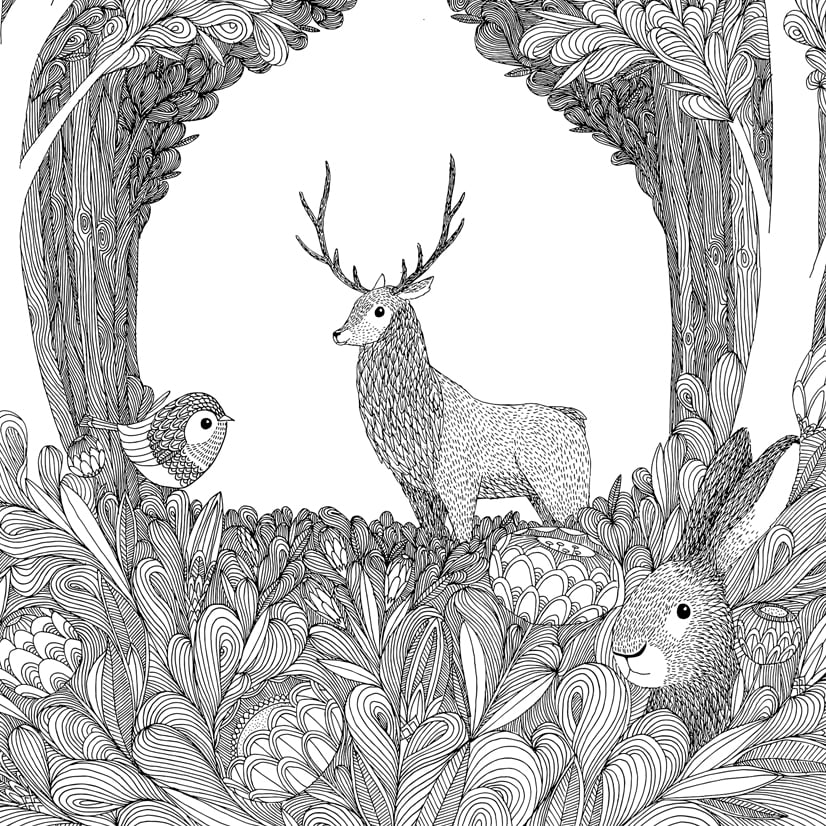 Large Print: Forest Friends