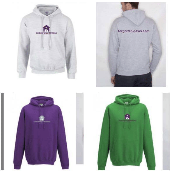 Image of SFP Hoodies