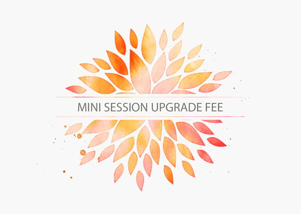 Image of Mini Session Upgrade Fee