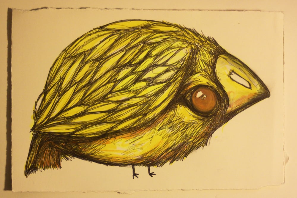 Image of Yellow Fat Bird Drawing