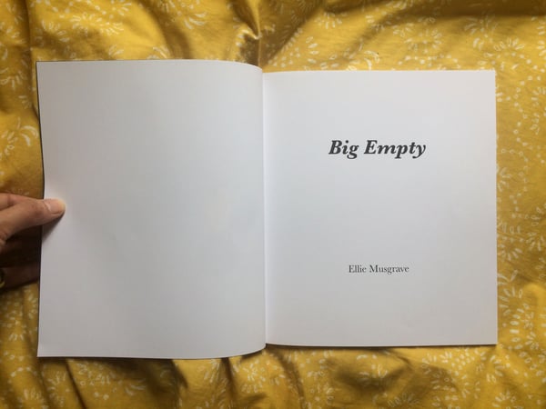 Image of Big Empty