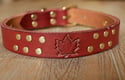 " I Am Canadian" Leather Dog Collar