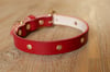 Betty Boxer Leather Dog/Cat Collar