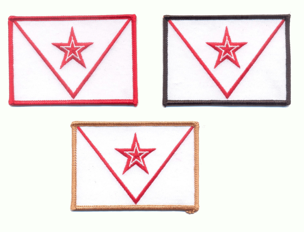 Image of Red Steel Collar Insignia