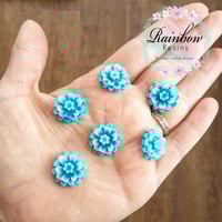 Teal carnation flowers x 10