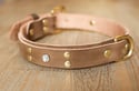 Katie Boxer Double Thickness Decorative Leather Dog Collar