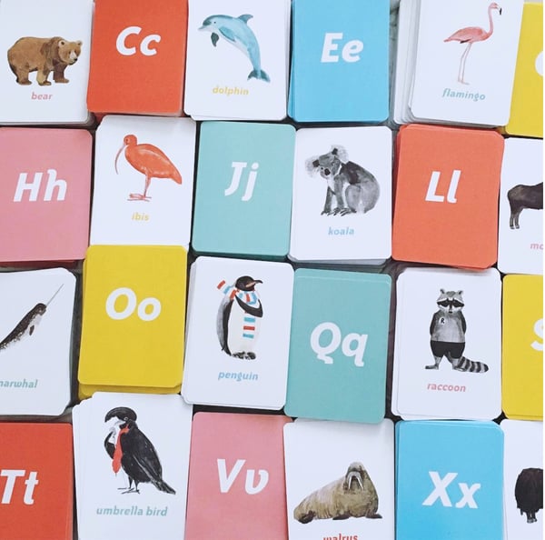 Image of Animal Alphabet Flash cards