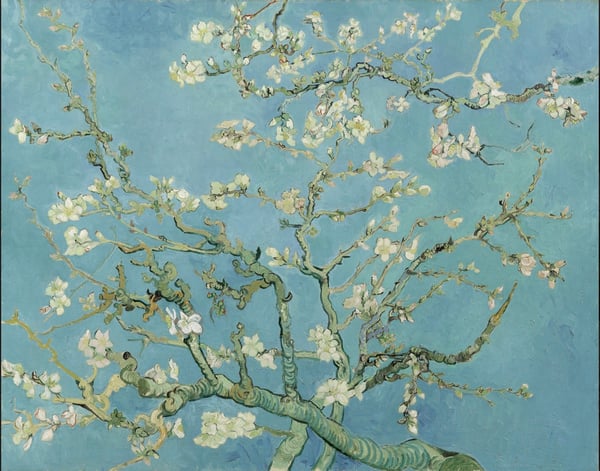 Image of "Almond Blossom" by Vincent van Gogh