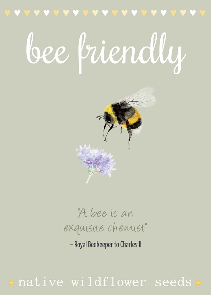 Image of Bee Friendly Seeds with Bee Quote (£2.70 including VAT)