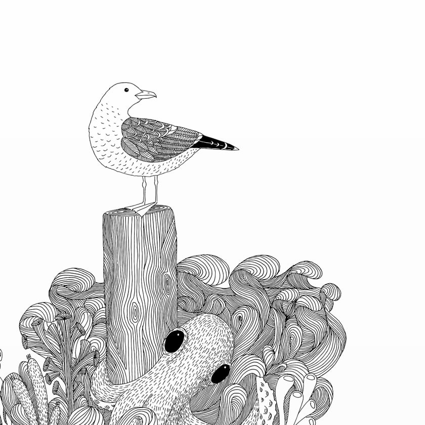 Large Print: Sealife