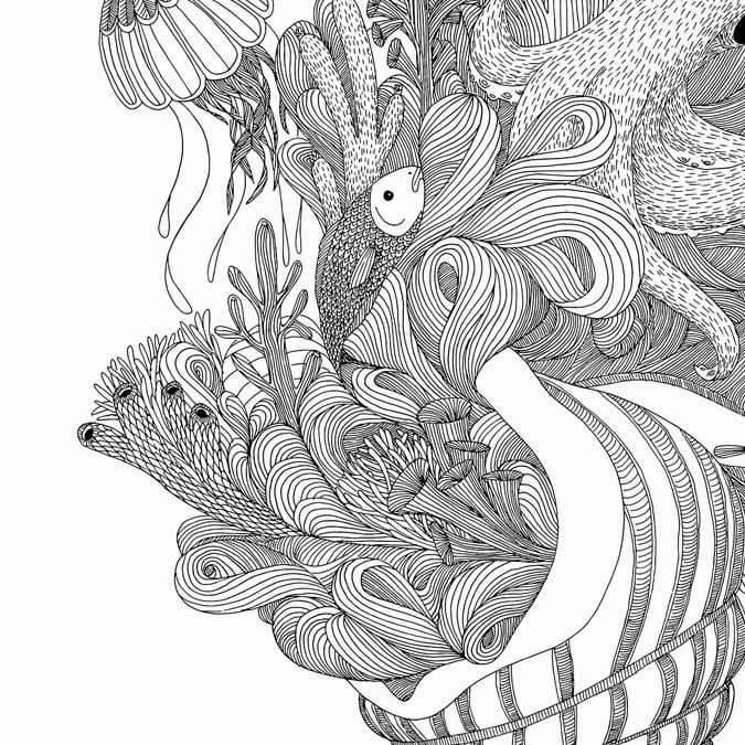 Large Print: Sealife