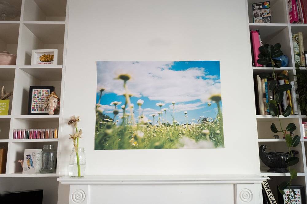 Image of The Chamomile Lawn (A1 Poster)