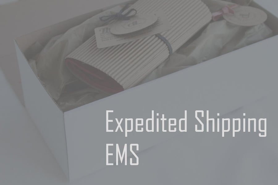 Image of Upgrade to Express delivery SPM