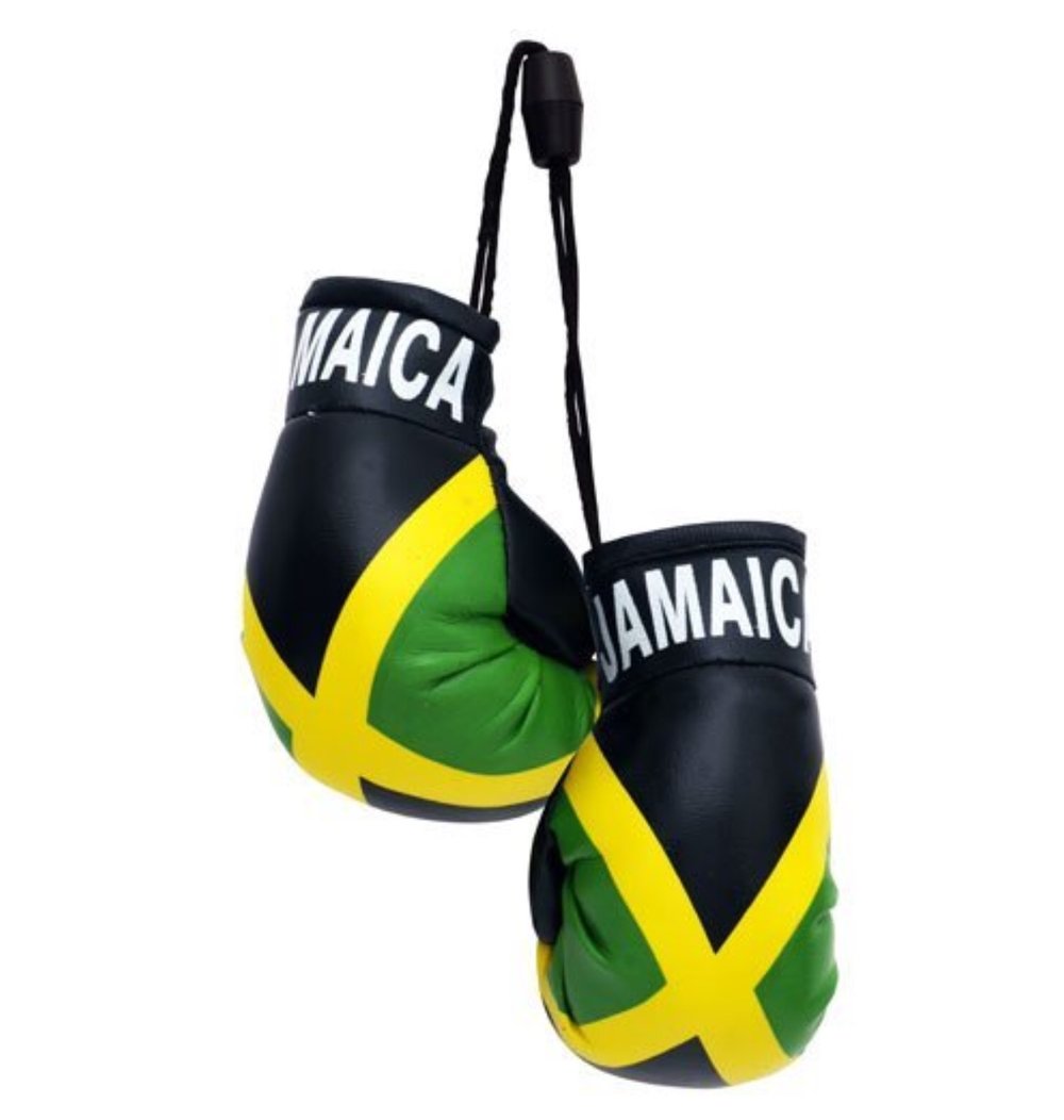 Jamaican flag boxing Gloves