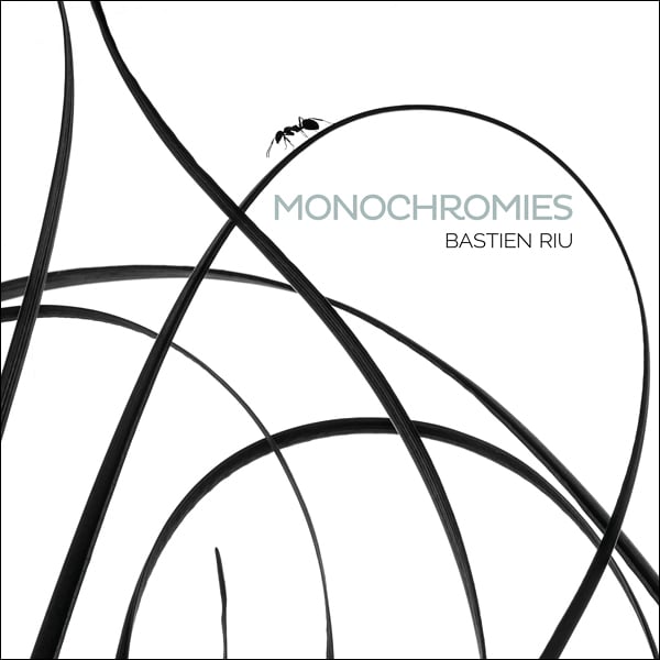 Image of Monochromies