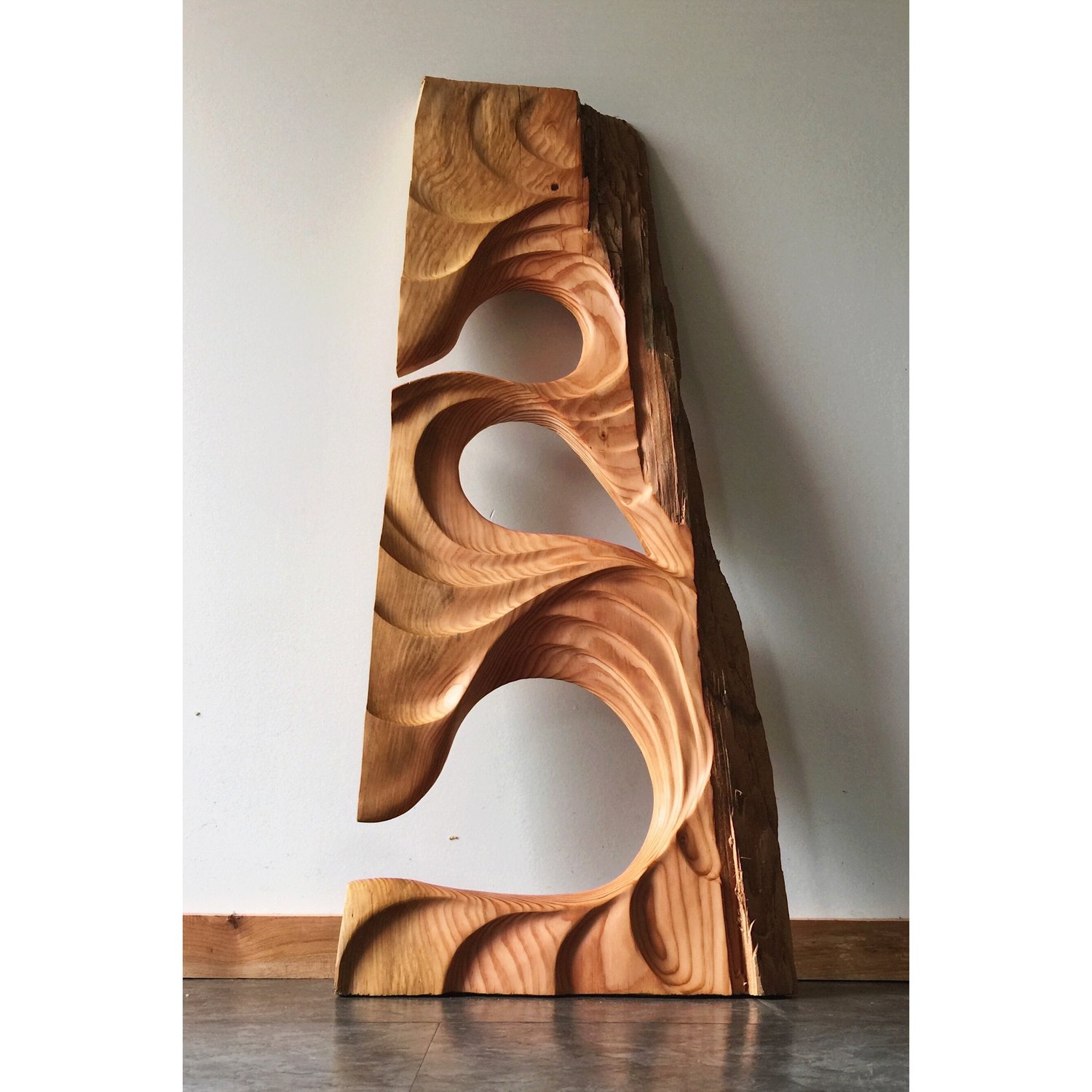 Image of Driftwood. Fir wall hanging.