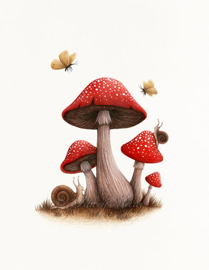 Image of Toadstools -  Fine Art Giclée Print