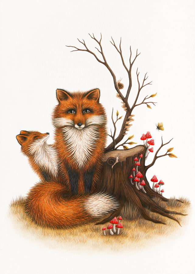 Image of Fox & Fungi - Fine Art Giclée Print