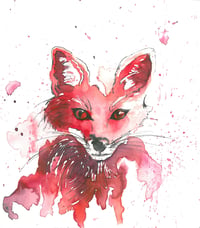 "Fantastic Mr Fox"   - From The CountryLife Collection