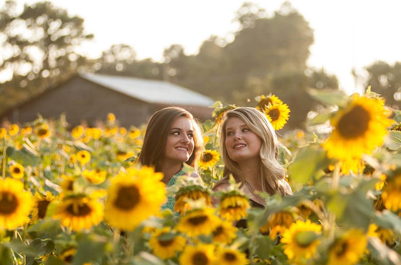 Image of Sunflower Mini sessions - Oct 8th
