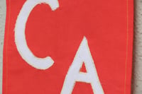 Image 5 of CA Wave Flg1