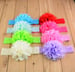 Image of Lace Headbands with Chiffon Flower- 18 colors